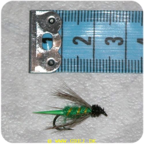 RS0069 - Dragonfly Larva