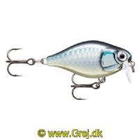 022677339603 - Rapala X-Light series - 3,5cm/4g - Baby Aspius - Arbejdsdybde: 0,9 - 1,2m - Crank 03 Shallow Runner