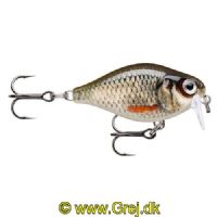 022677339702 - Rapala X-Light series - 3,5cm/4g - Live Roach - Arbejdsdybde: 0,9 - 1,2m - Crank 03 Shallow Runner