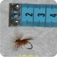 463 - Mayflies - Large Brown Sedge - Str. 10