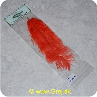 5704041013658 - Ostrich Plume - Orange