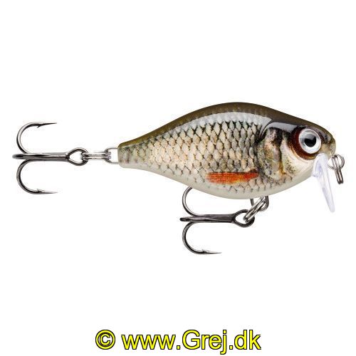 022677339702 - Rapala X-Light series - 3,5cm/4g - Live Roach - Arbejdsdybde: 0,9 - 1,2m - Crank 03 Shallow Runner