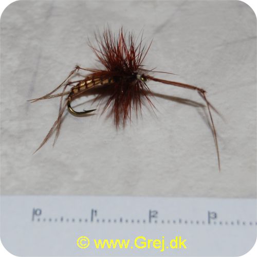 FL44108 - Daddy Long Leg Tan/Brown TMC 2302 - Krogstørrelse 12